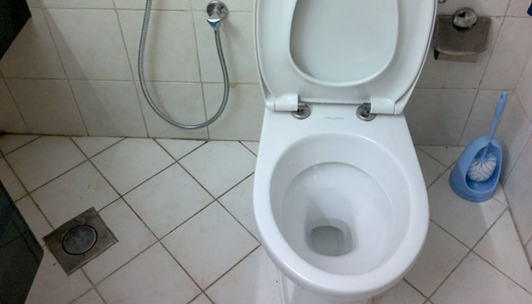 Dungiven man admits failure after 4 hours of trying to piss skidmark off toilet bowl