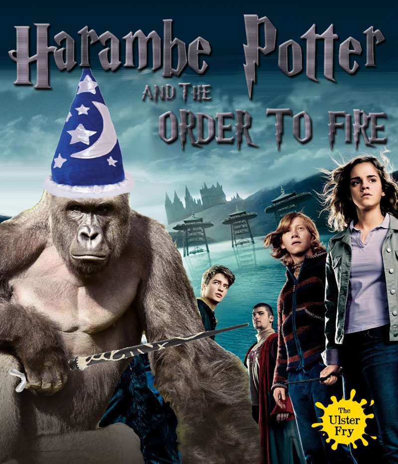 harambe-potter