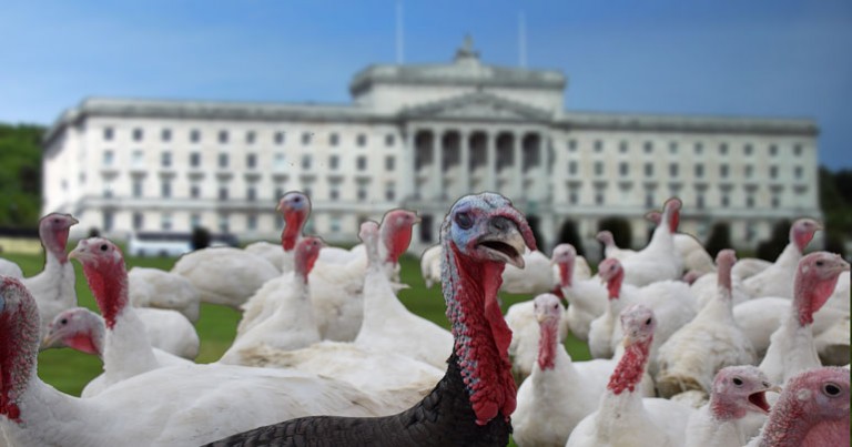 Angry Turkeys get another chance to vote for Christmas