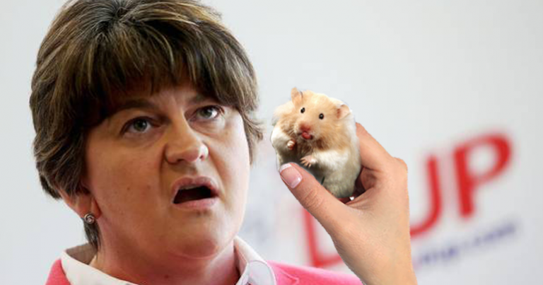 “The DUP ate my hamster”, claims family man