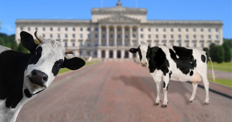 Not enough milk to shake at NI politicians, warns Dale Farm